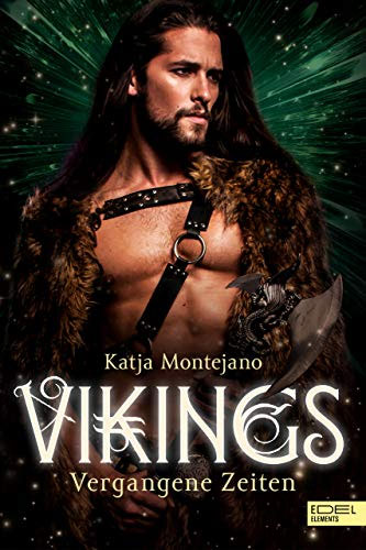 Vikings - Buchcover Zeitreiseroman